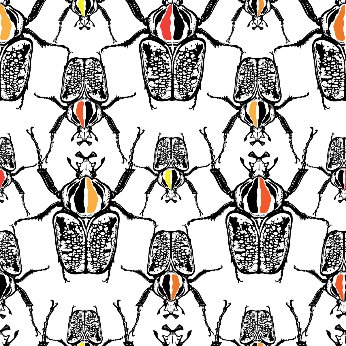 Creepy Crawling Beetles Wrapping Paper: Graphic Beetle Gift Wrap